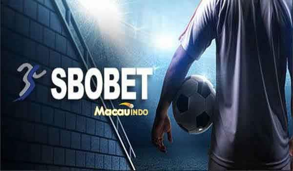 link sbobet88 indonesia panduan lengkap memilih dan menggunakan link terpercaya link sbobet88 indonesia panduan lengkap memilih dan menggunakan link terpercaya
